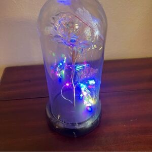 Dream of Flowers Lighted Rose in Glass Dome with Faux Wooden Base. New!!